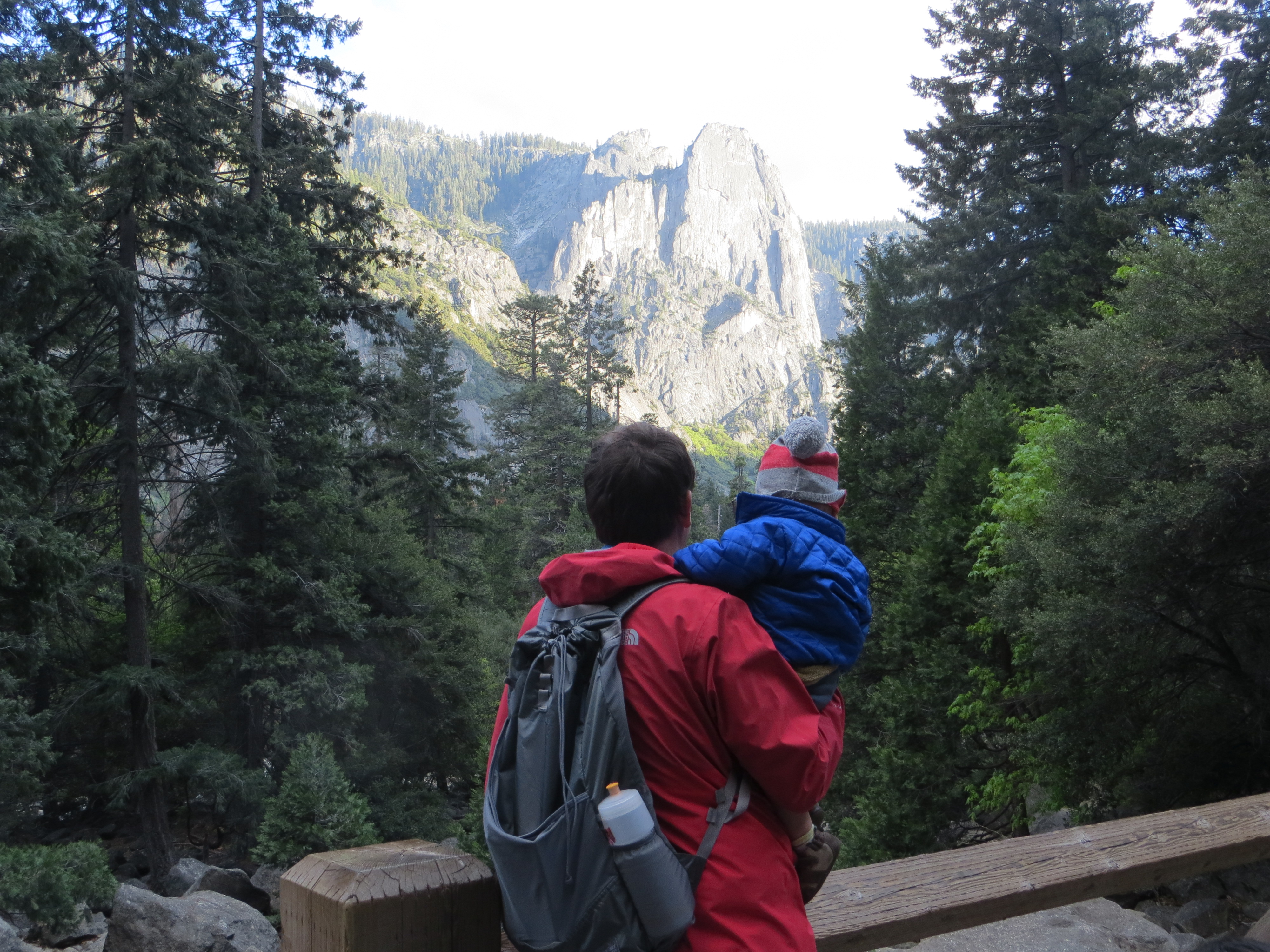 Best Yosemite Valley Adventure for Families